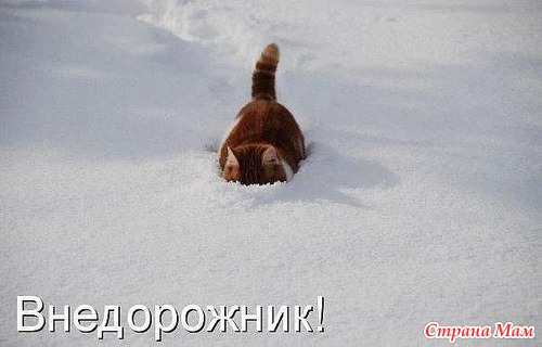 )))