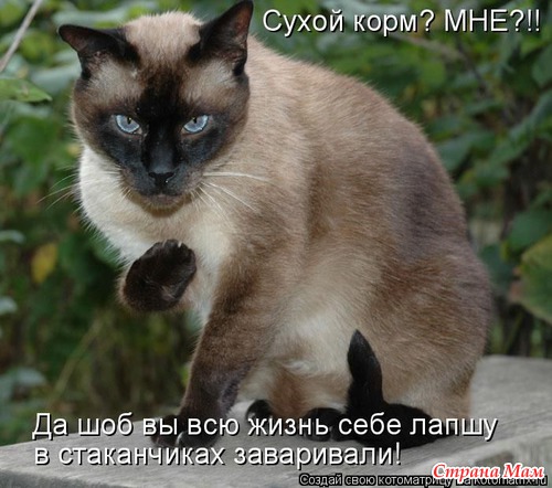 И смех и грех - 3