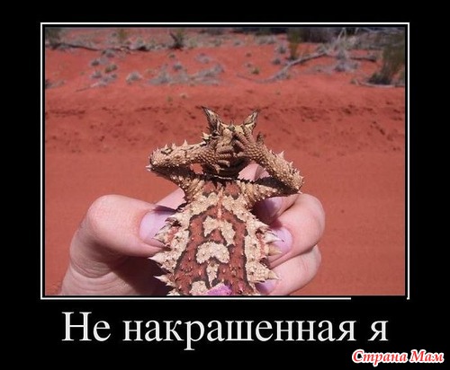 С утра нарвалась на похихи :D