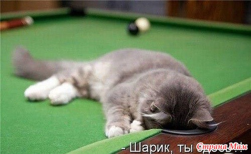 С утра нарвалась на похихи :D