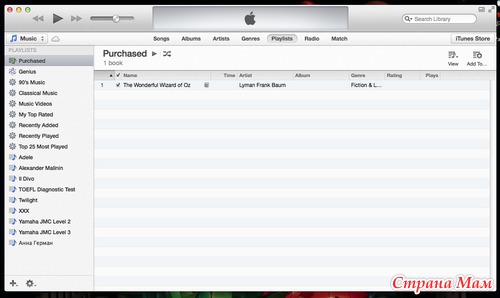     iPad   iTunes