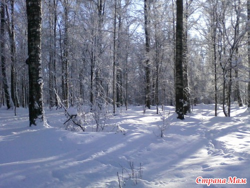 Зимний парк