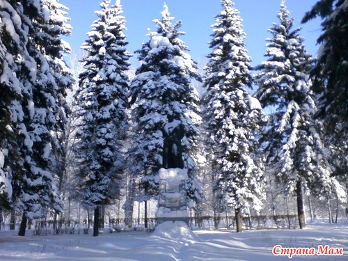 Зимний парк