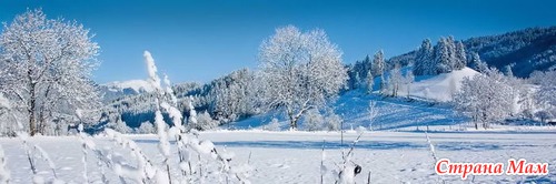Дом мечты: Январская улица