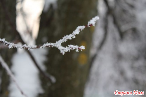 Снег