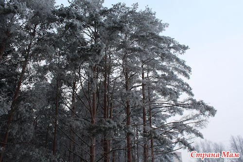 Снег