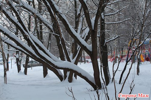 Снег
