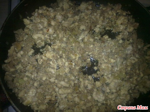 Мои каннелони с фаршем