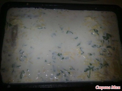 Мои каннелони с фаршем