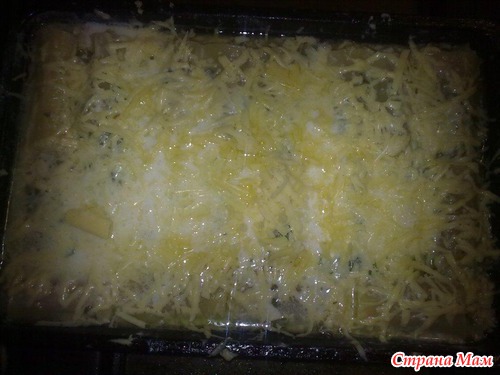Мои каннелони с фаршем