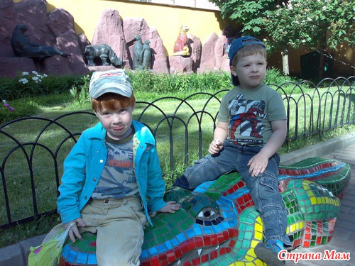 Каждый год мы ходим в зоопарк.