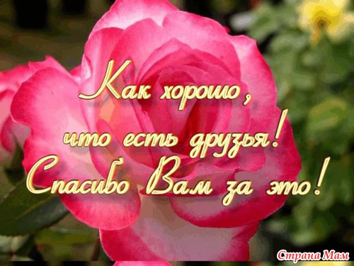 Ровно год как я в чудесной СТРАНЕ МАМ
