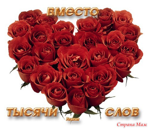 Хваст по Зайкам