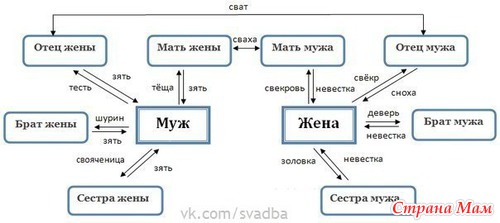 Как не запутаться в родственниках?