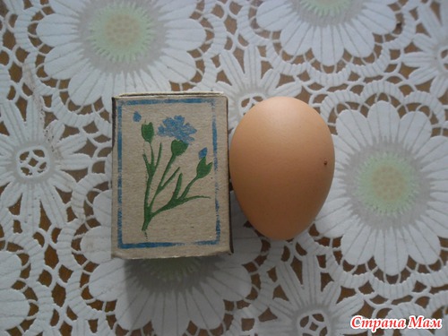 Мои курочки и Петя!!!