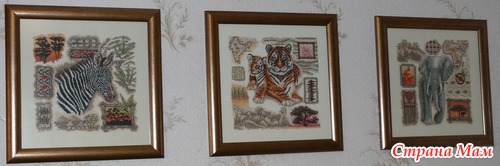 Fleur de Lis, Tiger; Леди, "Земляника Волыни" - Хваст
