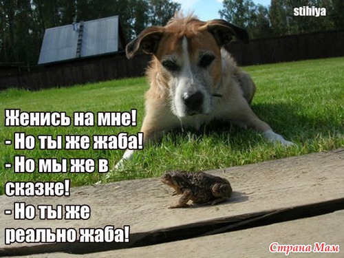 Сказки — это просто другой вид правды.