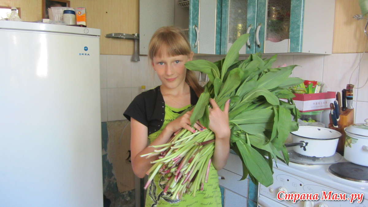 Черемша соленая... - Я не повар, я только учусь. - Страна Мам