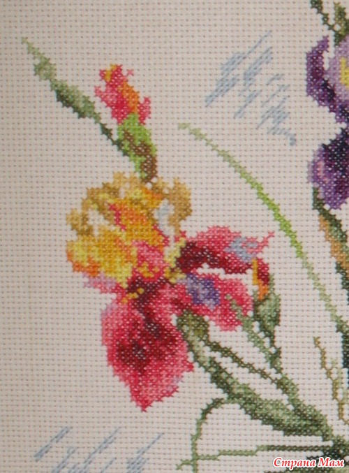 "Ирисы" фирмы "Чудесная игла" № 40-44
