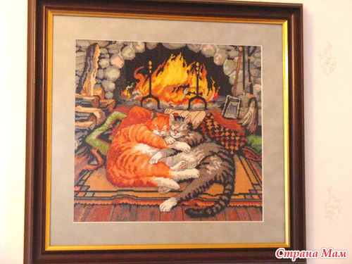 Вот и поселились у меня коты