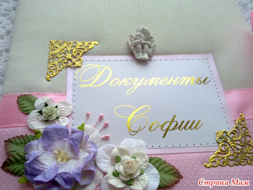 Папки для свидетельств