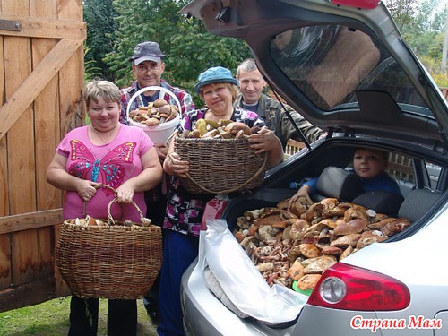Щедрые дары природы