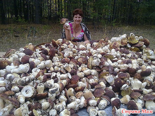 Щедрые дары природы