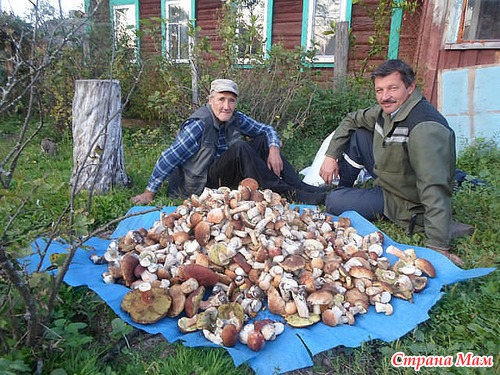 Щедрые дары природы