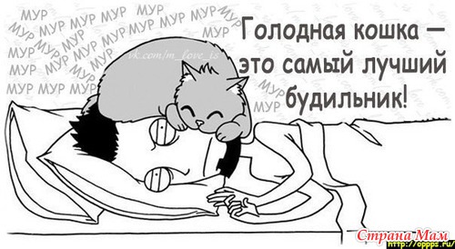 А вы знаете что сон удлиняет жизнь? Пойду попробую жить дольше...