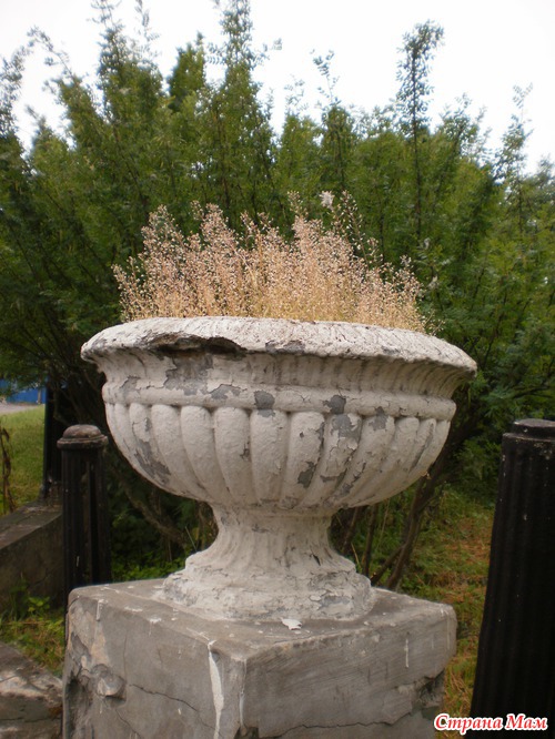 Утренние зарисовки