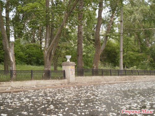 Утренние зарисовки