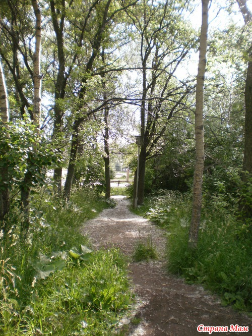 Утренние зарисовки