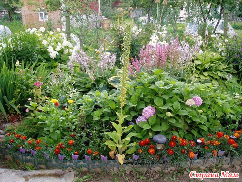 Вся природа дивным цветом расцвела. Спасибо, ЛЕТО! (1 часть)