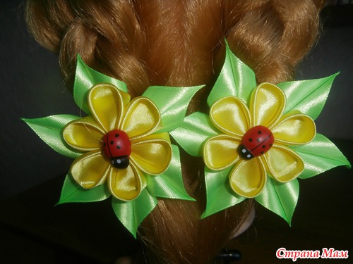И снова розы