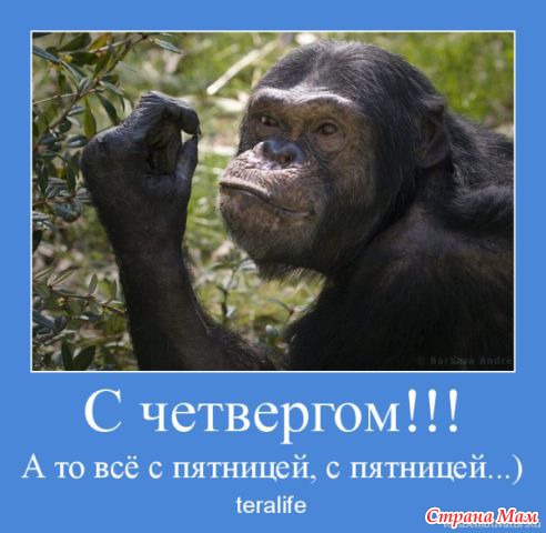 http://st.stranamam.ru/data/cache/2013jul/25/54/8939384_95480nothumb500.jpg