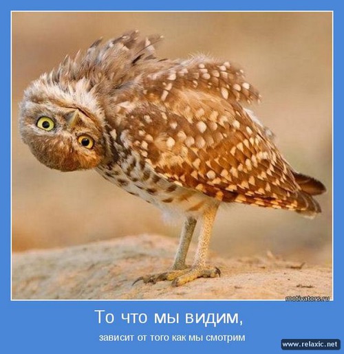 Люблю позитивные мотиваторы )))