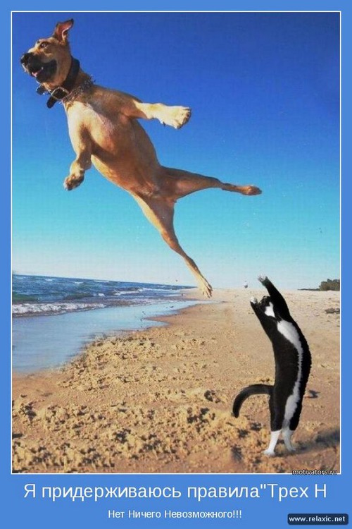 Люблю позитивные мотиваторы )))