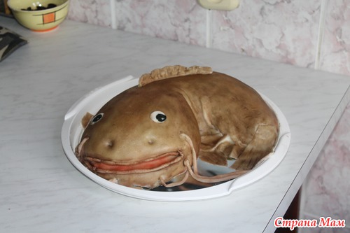 Сом 3D торт.