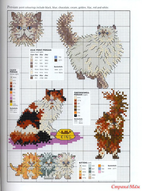 Кошки из английского буклета