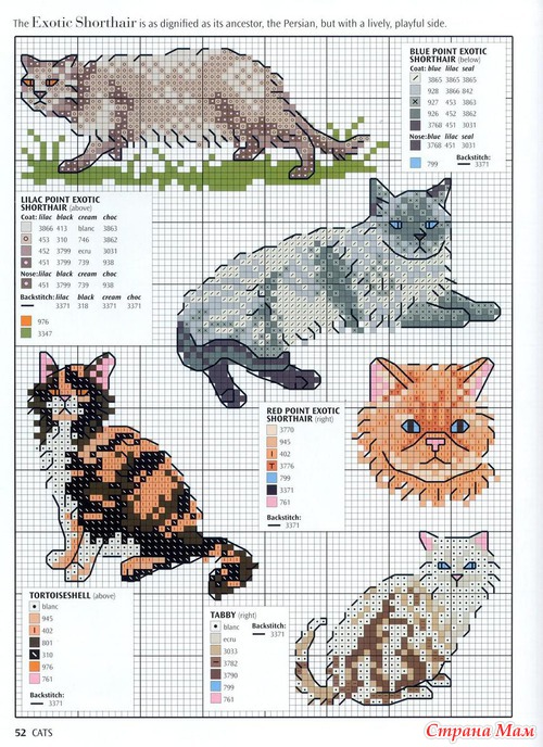 Кошки из английского буклета