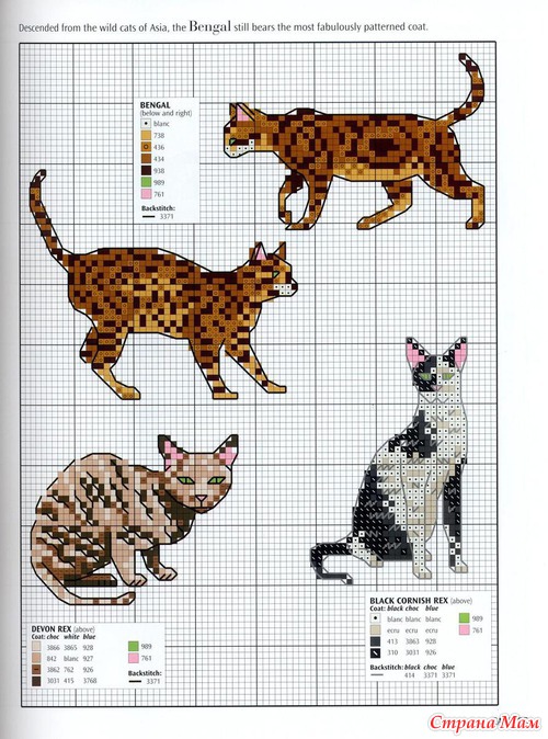 Кошки из английского буклета