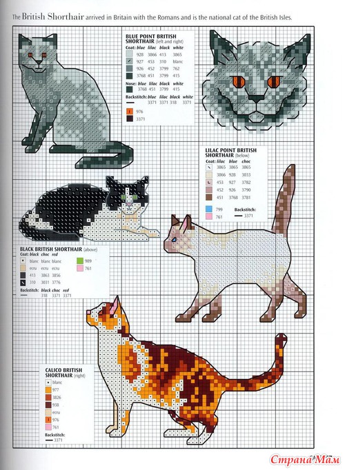 Кошки из английского буклета