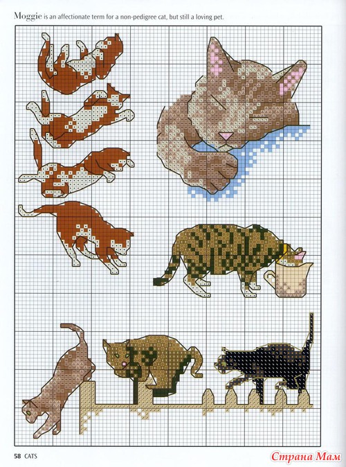Кошки из английского буклета