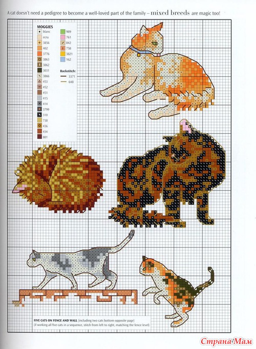 Кошки из английского буклета