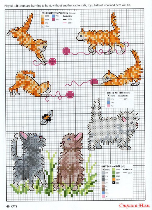 Кошки из английского буклета