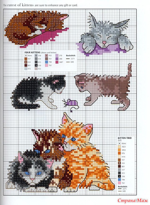 Кошки из английского буклета