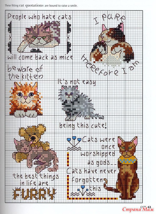 Кошки из английского буклета