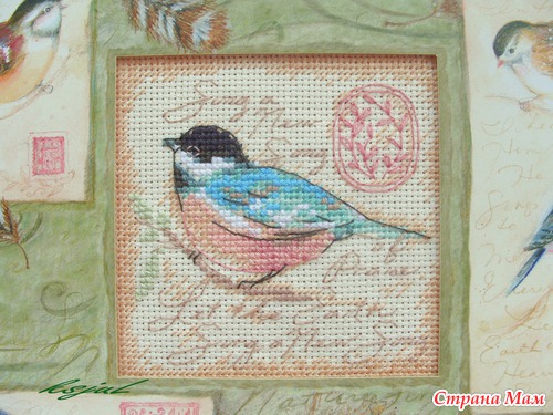 "Birds & Swirls" 73526