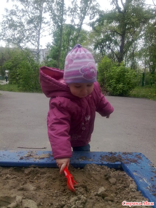 Отчетик Лизы )))