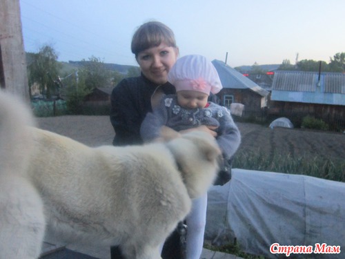 Отчетик Лизы )))